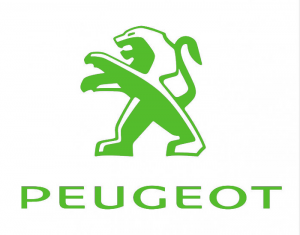 Peugeot Outil de voiture Timingset