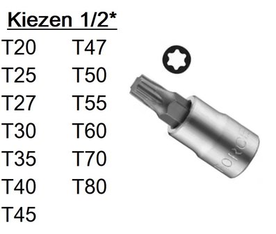 Porte-embouts Torx 1/2 T20-T80