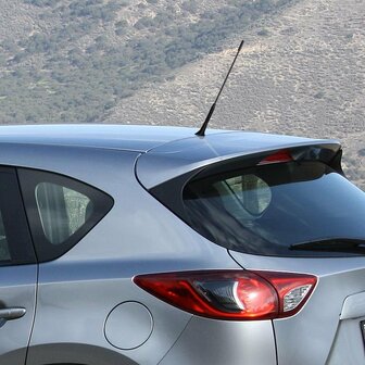 Antenne de voiture incl. Adaptateurs M5 M6