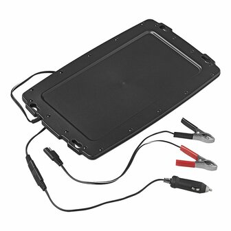Chargeur solaire d&#039;entretien 12V 2.4W