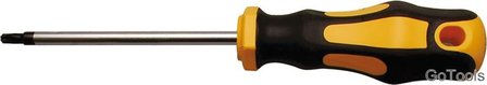 Tournevis profil T (pour Torx) T25 longueur de la lame 100 mm