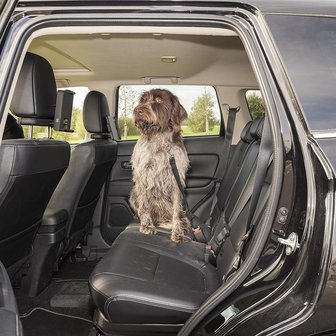 Laisse pour chien pour ceinture de securite de voiture