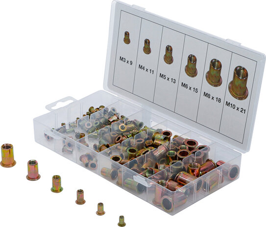 150 pieces Ecrou de rivets Assortiment en acier galvanise