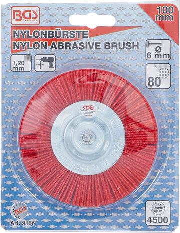 Brosse en nylon, 100 mm, arbre de 6 mm