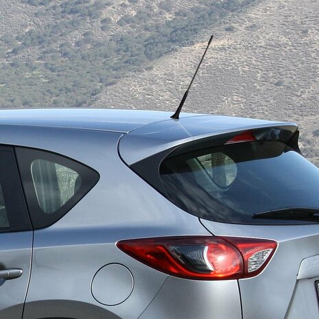 Antenne de voiture incl. Adaptateurs M5 M6