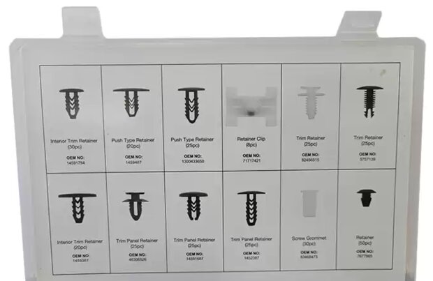 Clips de garniture assortiment Fiat 308 pieces