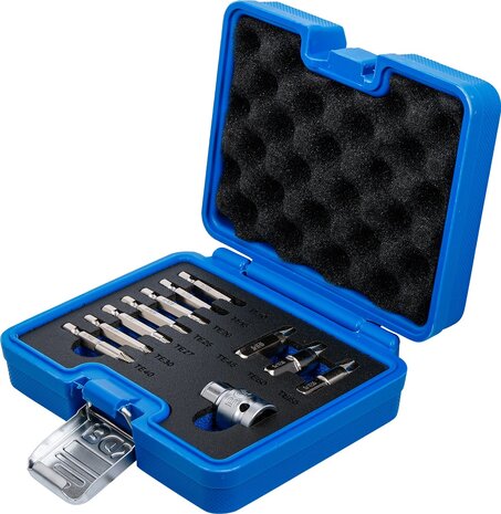 Jeu d'extracteurs de vis pour profil T defectueux (pour Torx) T10 - T55 11 pieces