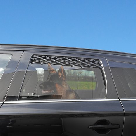 Grille de ventilation pour vitres de voiture