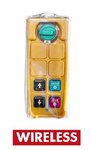 Palan 230v telecommande sans fil