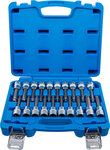 Jeu de douilles a embouts (1/2) Six pans femelle profil T (pour Torx) polygone femelle (pour XZN) avec tete sphérique 20 pieces