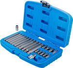 Jeu d'embouts 10 mm (3/8) Profil cannele (pour Ribe) 22 pieces