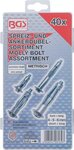 Assortiment Molly Bolt de 40 pieces