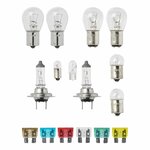 Jeu d'ampoules de rechange H7 16 pieces