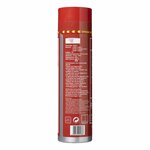 Extincteur 0,6 L AB F mousse NL