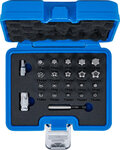 Jeu d’embouts Profil TS (pour Torx Plus) 23 pcs