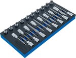 Plateau d'outils 1/3: Jeu de douilles de 12,5 mm (1/2 po) T-Star (pour Torx) 26 pcs.