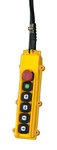 Palan electrique 2 ton