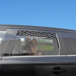 Grille de ventilation pour vitres de voiture