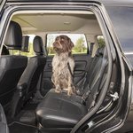 Laisse pour chien pour ceinture de securite de voiture