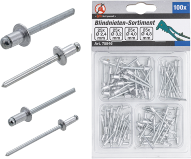 Assortiment de rivets pop diametre 2,4 - 4,8 mm 100 pieces