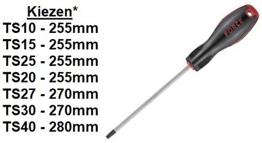 Tournevis Torx TS 5-pans perce