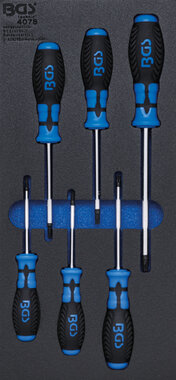 Plateau a outils 1/3: Tournevis T-Star (pour Torx) 6 pcs