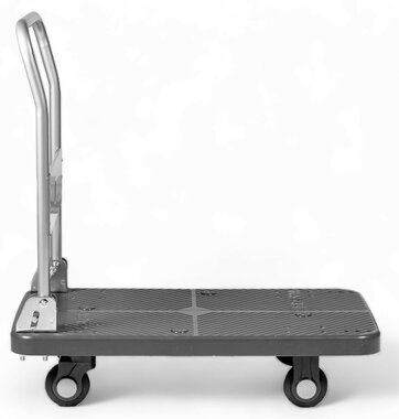 Camion a plate-forme 300 kg